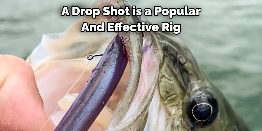 A Drop Shot is a Popular And Effective Rig