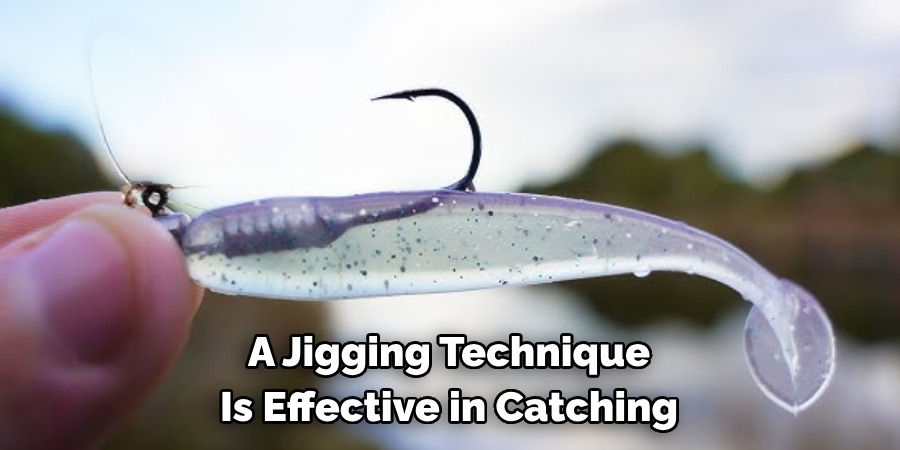 A Jigging Technique Is Effective in Catching