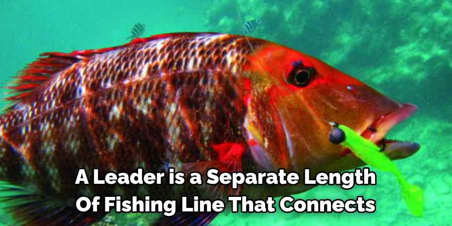 A Leader is a Separate Length Of Fishing Line That Connects