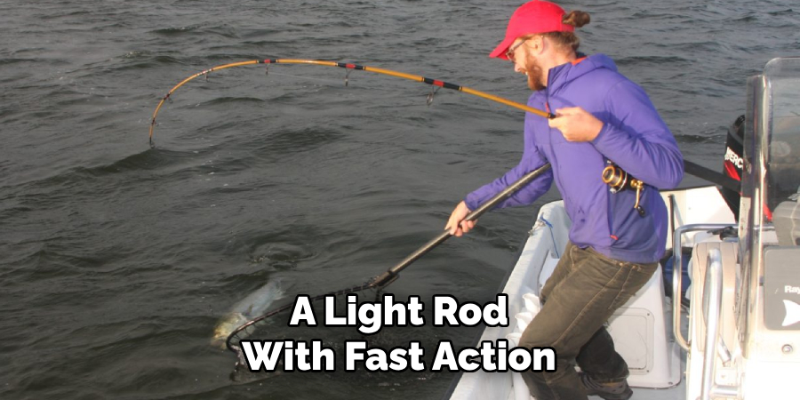 A Light Rod With Fast Action