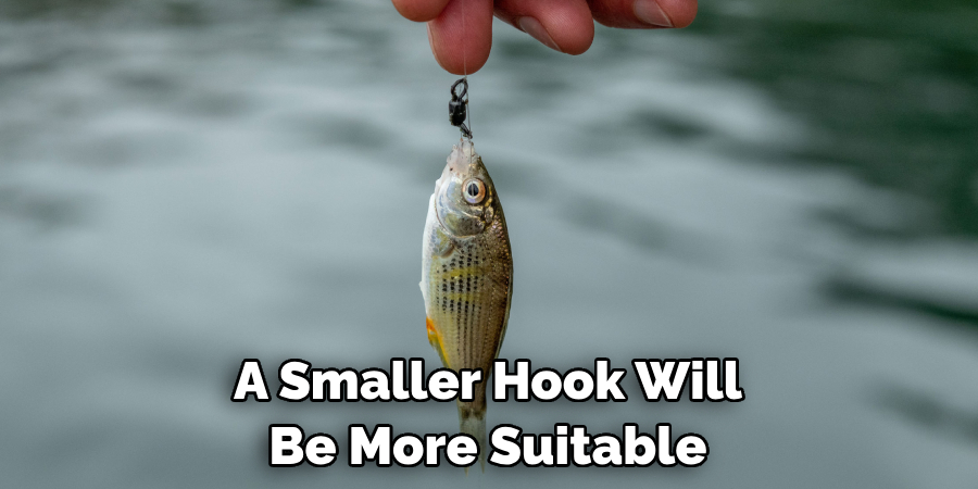 A Smaller Hook Will Be More Suitable