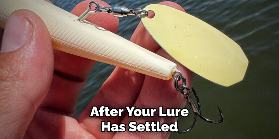 After Your Lure Has Settled