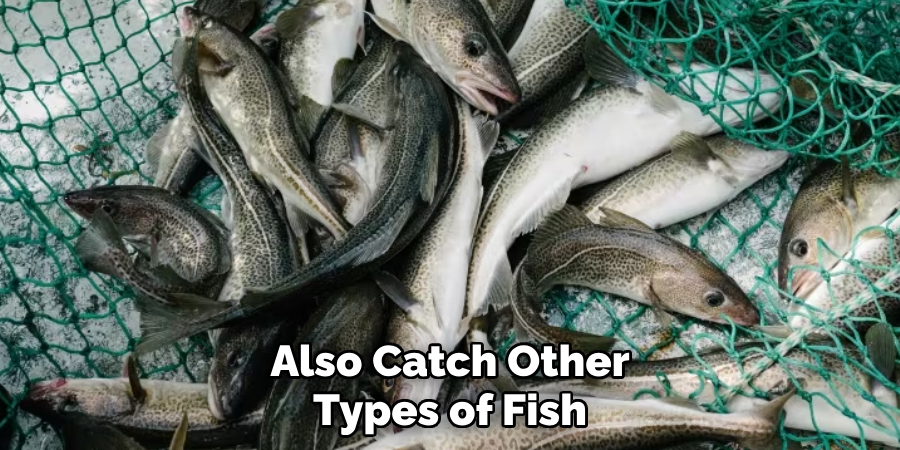 Also Catch Other Types of Fish