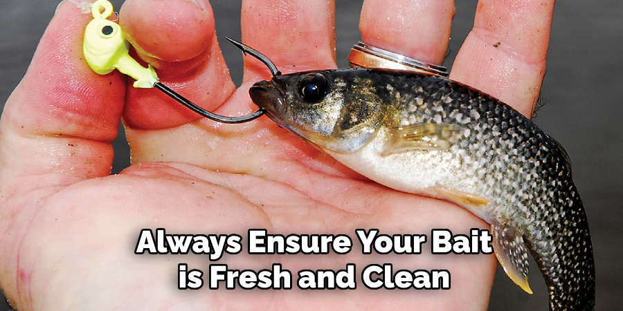 Always Ensure Your Bait is Fresh and Clean