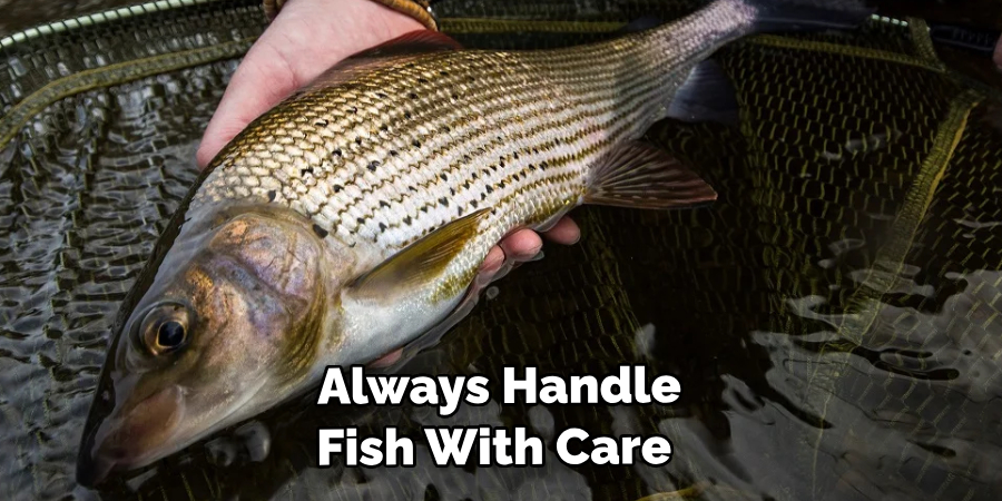 Always Handle Fish With Care 