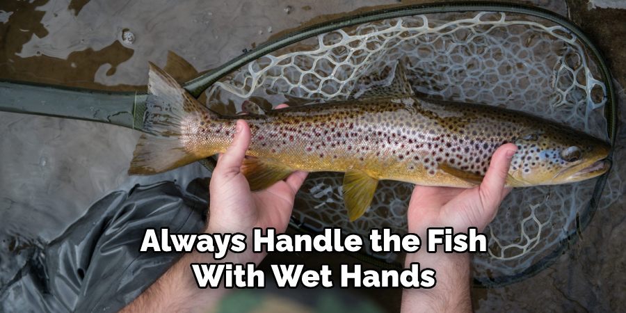 Always Handle the Fish With Wet Hands