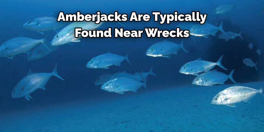 Amberjacks Are Typically Found Near Wrecks