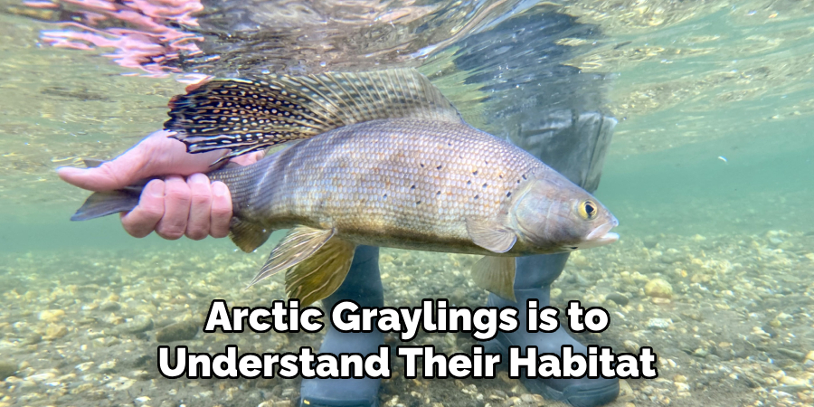 Arctic Graylings is to Understand Their Habitat