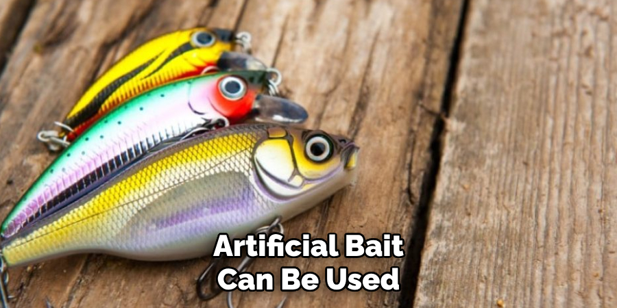 Artificial Bait Can Be Used