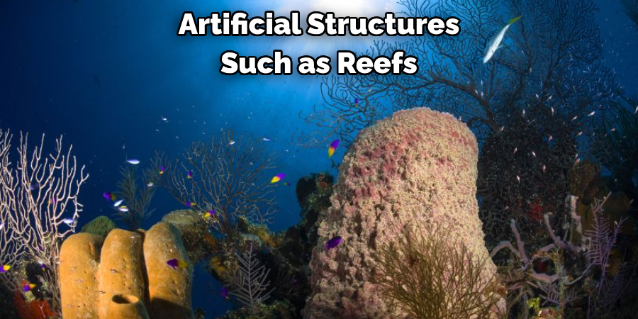 Artificial Structures 
Such as Reefs