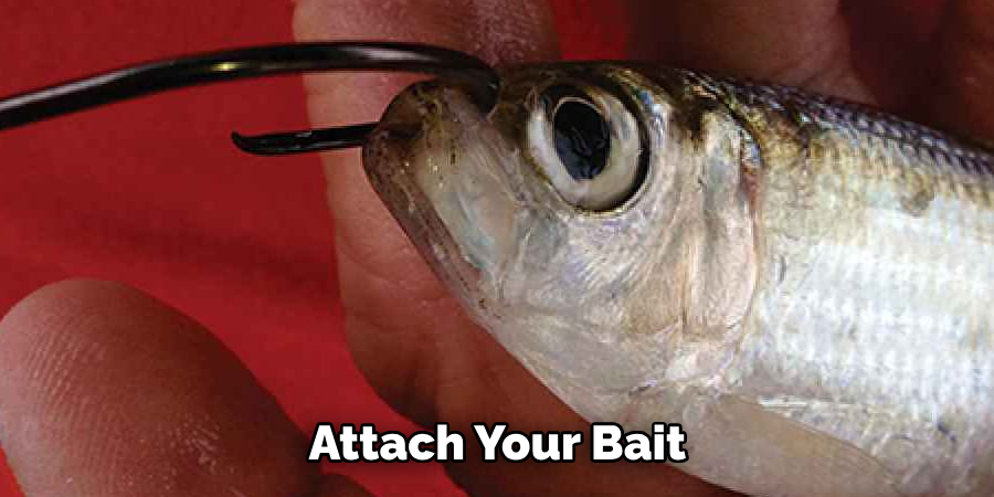  Attach Your Bait 