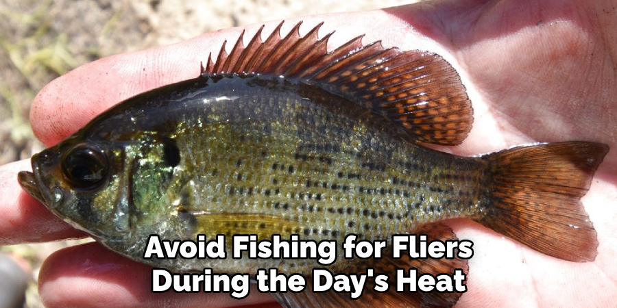 Avoid Fishing for Fliers During the Day's Heat