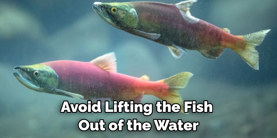 Avoid Lifting the Fish Out of the Water