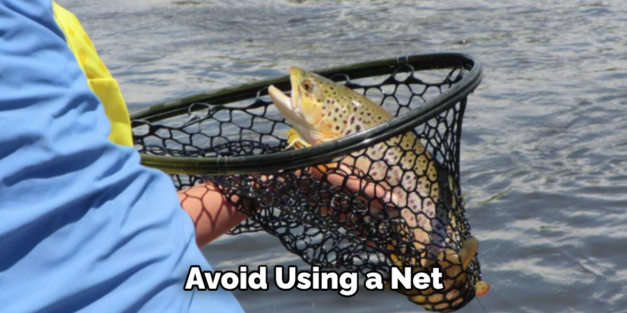 Avoid Using a Net