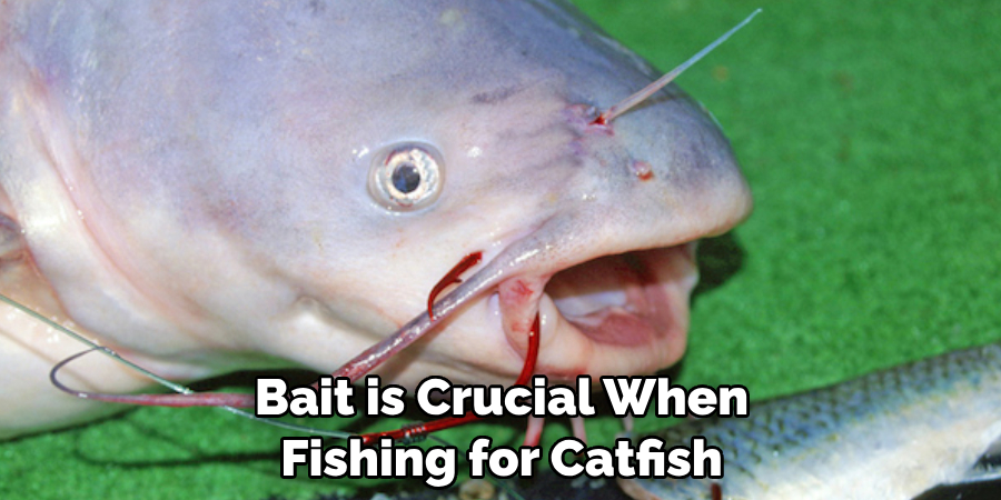 Bait is Crucial When 
Fishing for Catfish