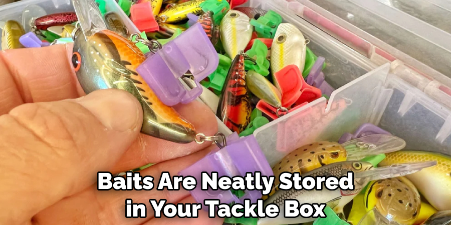 Baits Are Neatly Stored in Your Tackle Box