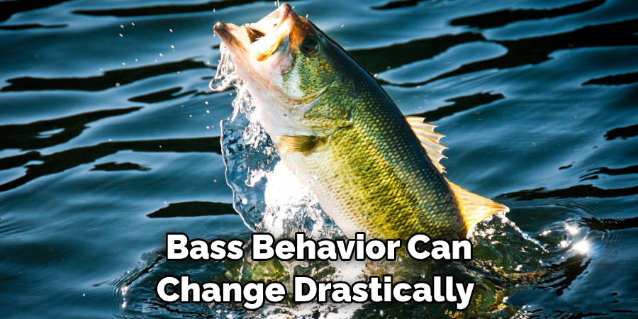 Bass Behavior Can Change Drastically 