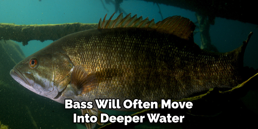 Bass Will Often Move Into Deeper Water