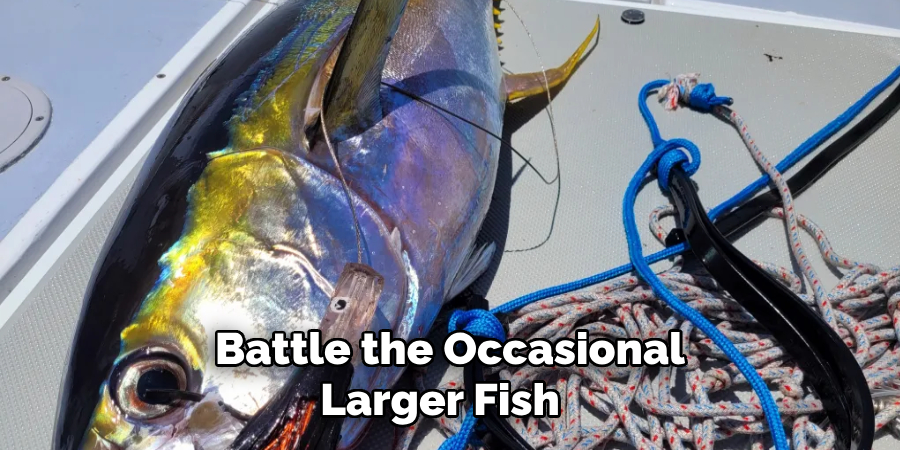 Battle the Occasional Larger Fish 