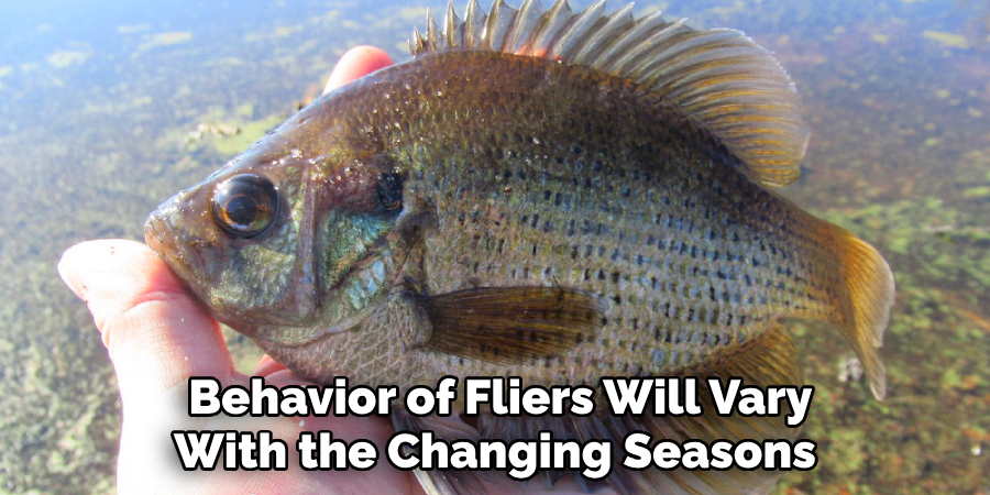 Behavior of Fliers Will Vary With the Changing Seasons