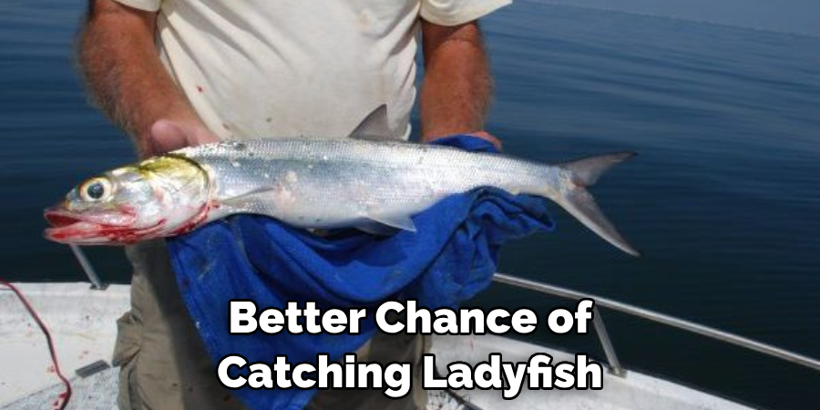 Better Chance of Catching Ladyfish