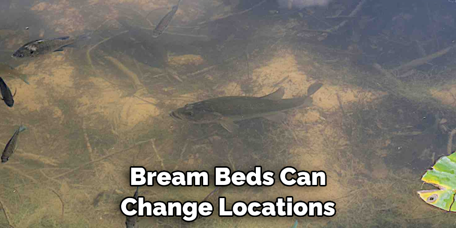 Bream Beds Can Change Locations