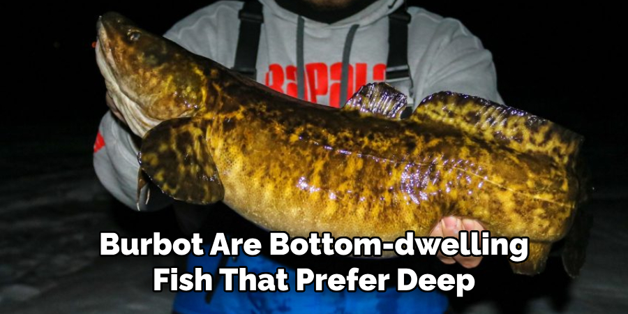 Burbot Are Bottom-dwelling Fish That Prefer Deep