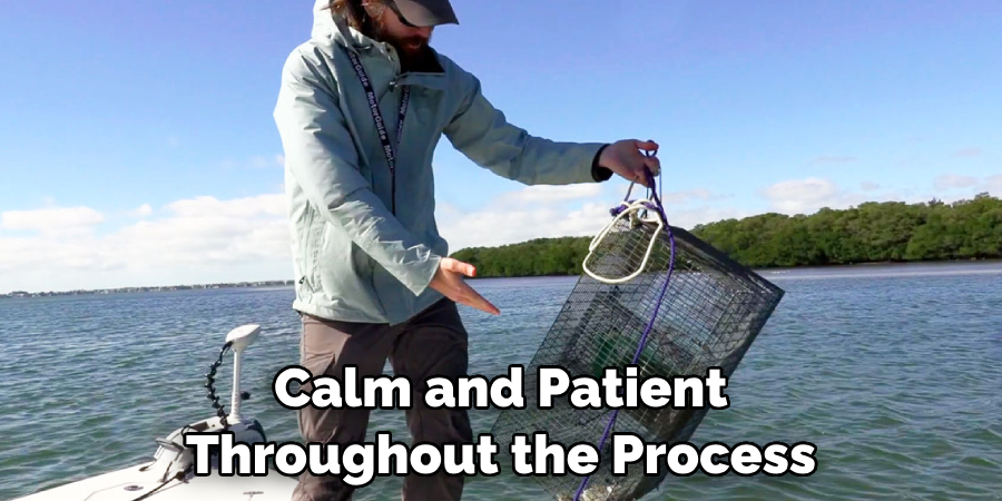 Calm and Patient Throughout the Process