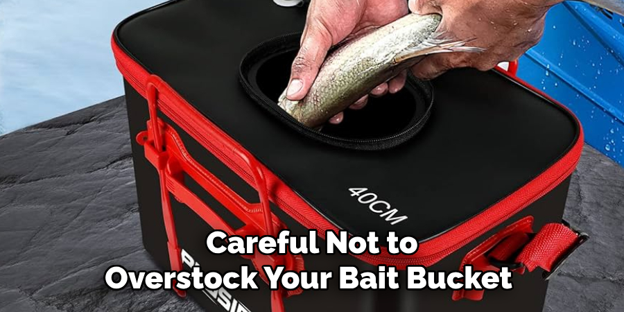 Careful Not to Overstock Your Bait Bucket 