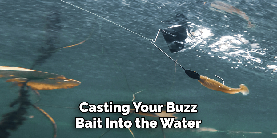 Casting Your Buzz Bait Into the Water