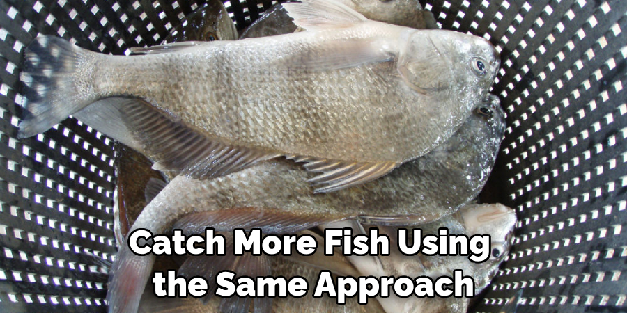 Catch More Fish Using the Same Approach