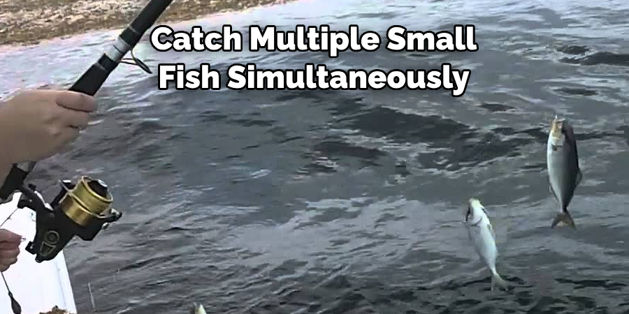 Catch Multiple Small 
Fish Simultaneously