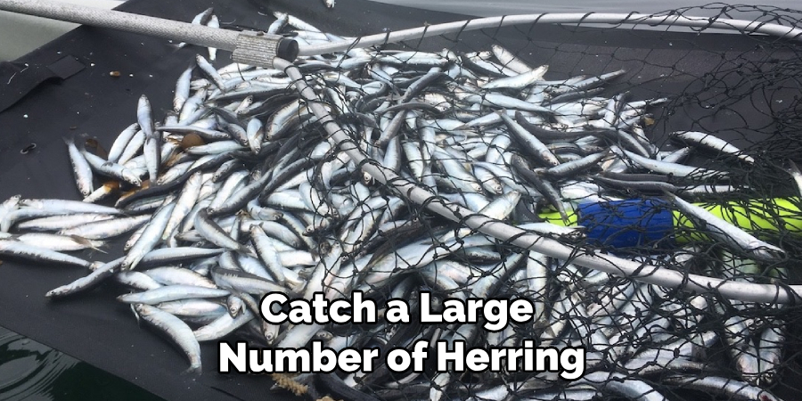 Catch a Large Number of Herring