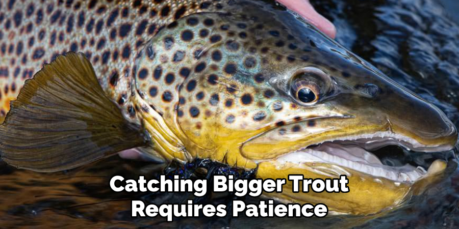 Catching Bigger Trout Requires Patience