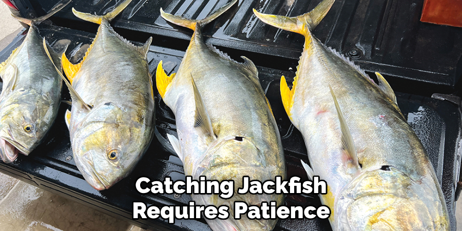 Catching Jackfish Requires Patience