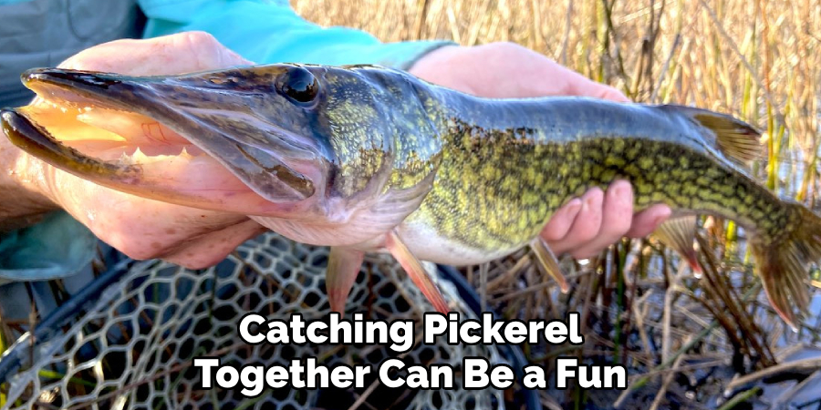 Catching Pickerel Together Can Be a Fun