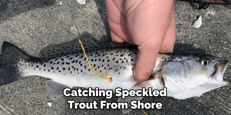 Catching Speckled Trout From Shore