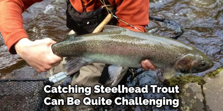 Catching Steelhead Trout Can Be Quite Challenging