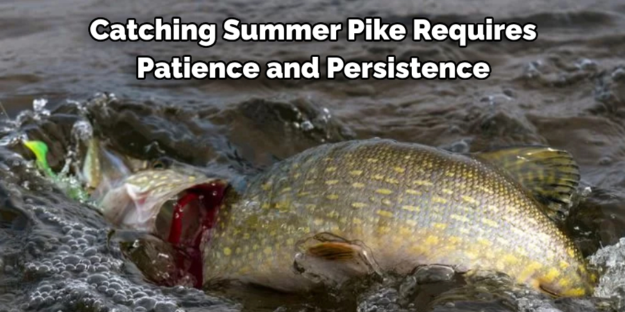 Catching Summer Pike Requires 
Patience and Persistence