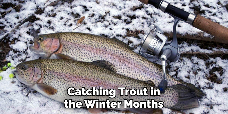 Catching Trout in the Winter Months