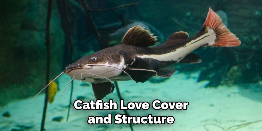 Catfish Love Cover and Structure