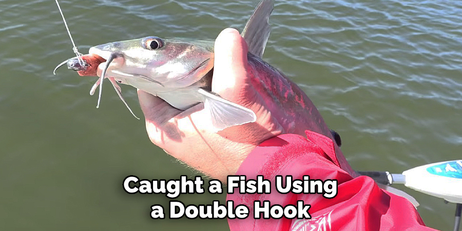 Caught a Fish Using a Double Hook