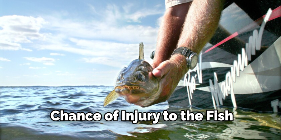  Chance of Injury to the Fish