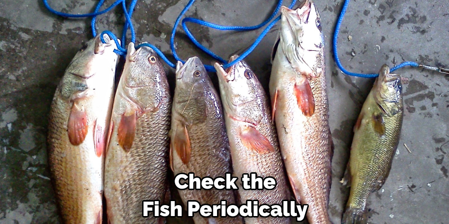 Check the Fish Periodically