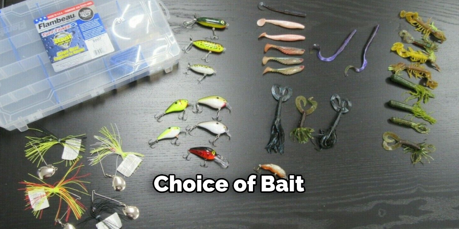 Choice of Bait