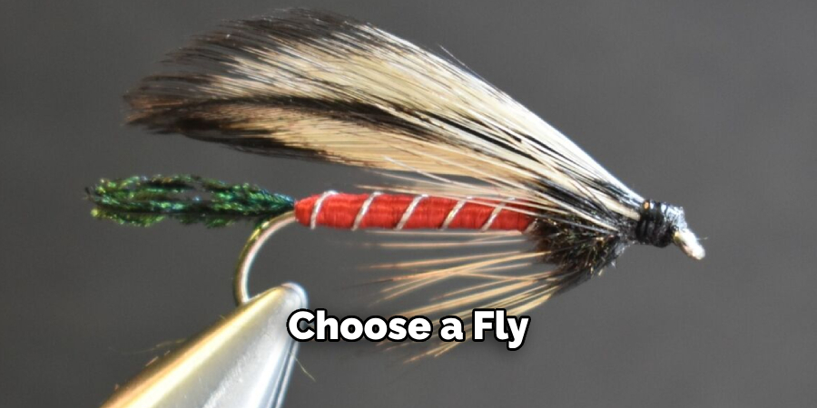 Choose a Fly