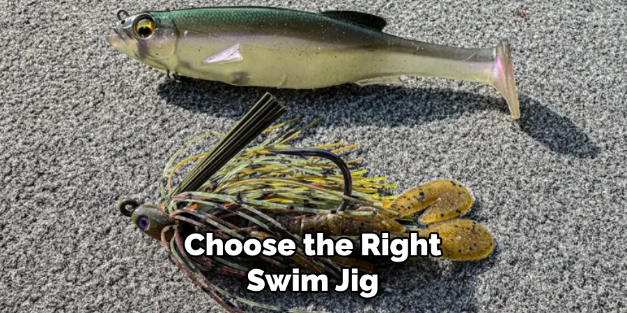 Choose the Right Swim Jig