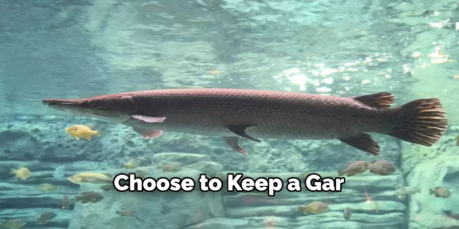 Choose to Keep a Gar