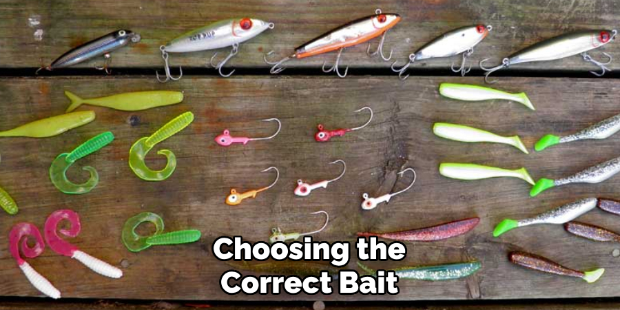 Choosing the Correct Bait