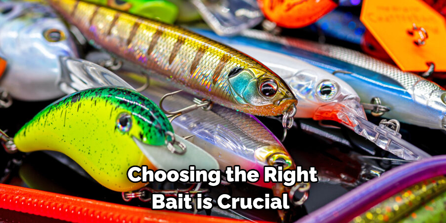 Choosing the Right Bait is Crucial